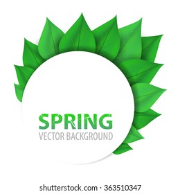 Spring abstract floral background with place for your text. Vector Illustration