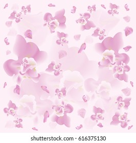 Spring abstract pastel colors background with orchids