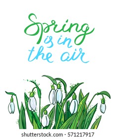 Spring is in the air lettering inspirational quote. Hand-drawn calligraphic text. Seasonal card with bouquet of snowdrops. Vector floral illustration