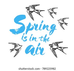 Spring is in the air postcard. Ink illustration. Modern brush calligraphy. Isolated on white background with birds. Vector