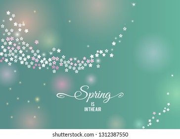 Spring in the air tender emerald green background with sparkling stream from sakura flowers in the wind. Spring lettering design for your greeting cards. Vector illustration