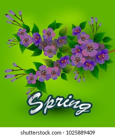 Spring. All wakes up, flowers sakura blossom. Vector sakura 