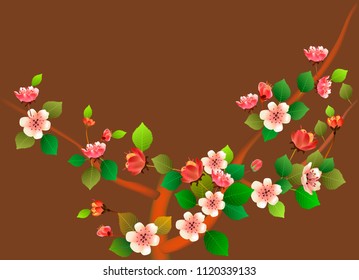 Spring. All wakes up, flowers sakura blossom .