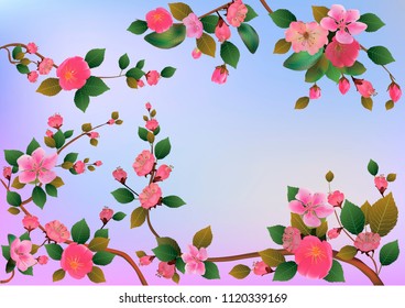 Spring. All wakes up, flowers sakura blossom .