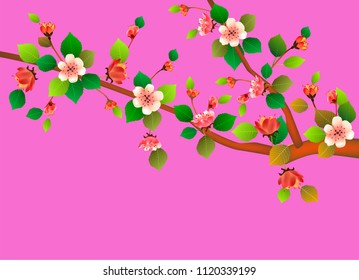 Spring. All wakes up, flowers sakura blossom .