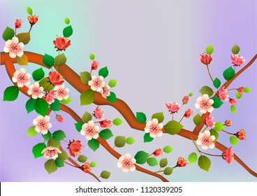 Spring. All wakes up, flowers sakura blossom .