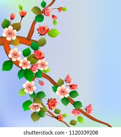 Spring. All wakes up, flowers sakura blossom .