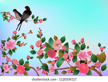 Spring. All wakes up, flowers sakura blossom .