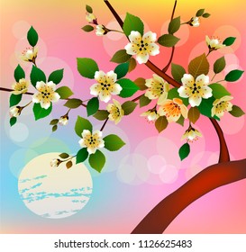 Spring. All wakes up, flowers sakura blossom .