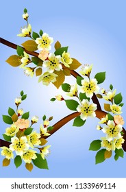 Spring. All wakes up, flowers sakura blossom .