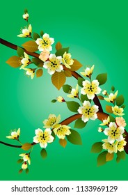 Spring. All wakes up, flowers sakura blossom .