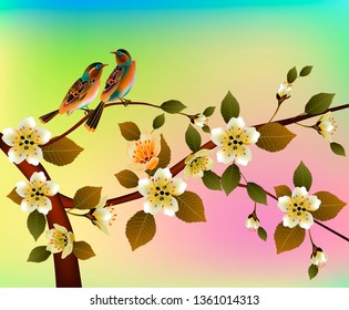 Spring. All wakes up, flowers sakura blossom .
