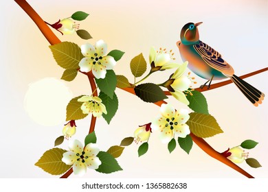 Spring. All wakes up, flowers sakura blossom .