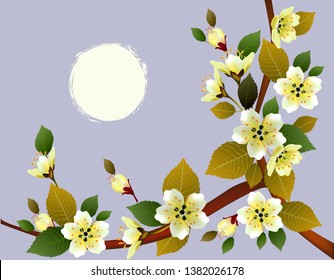 Spring. All wakes up, flowers sakura blossom .