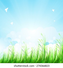 Spring amazing scenery, easy editable
