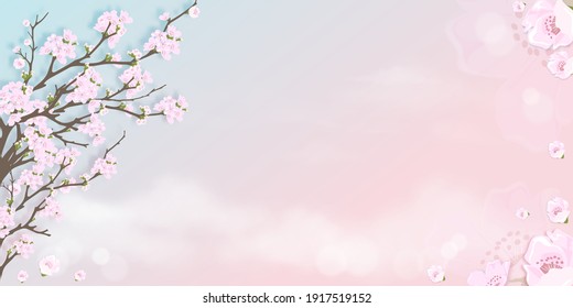 Spring apple blossom on blue and pink pastel sky background, Vector illustration Blossoming branches pink sakura flowers on springtime with falling petals, Sweet background for spring or Summer sale