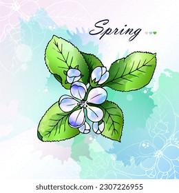 Spring apple blossoms with leaves, made in watercolor technique with an abstract background. Can be used as a postcard, invitation template, background image. Vector illustration. 