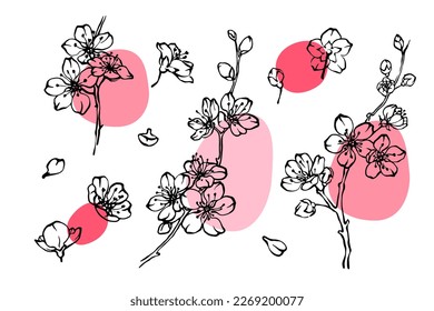 Spring apple or cherry blossom line drawing set. Blooming branches, flowers and petals outline collection with abstract pink color spots. Hand drawn vector design elements on white background