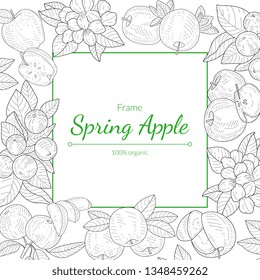 Spring Apple Frame, 100 Percent Organic, Hand Drawn Blossoming Branches and Apples Vector Illustration