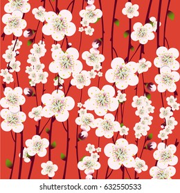 Spring apricot blossoming branch on bright background