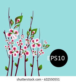 Spring  apricot blossoming branch on bright background