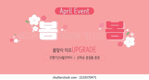 Spring April Event Cherry Blossom Background Vector 