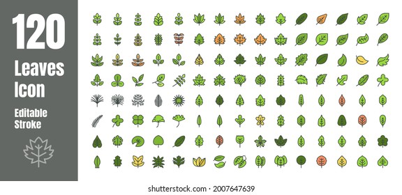 Spring and Autumn Leaf Filled Flat Color Outline line Icon Set. Minimal Style Illustration Vector. Editable Stroke