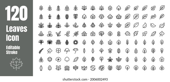 Spring And Autumn Leaf Outline Line Icon Set. Minimal Style Illustration Vector. Editable Stroke