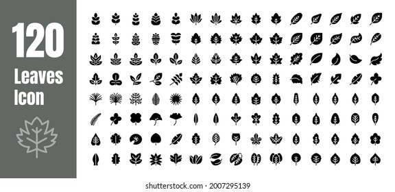 Spring and Autumn Leaf Solid Glyph Icon Set. Minimal Style Illustration Vector.