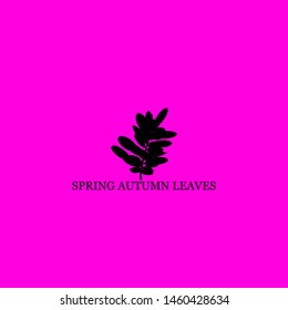 spring autumn leaves icon sign signifier vector