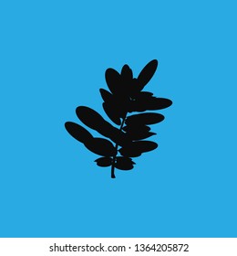 Spring autumn leaves icon vector