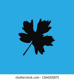 Spring autumn leaves icon vector