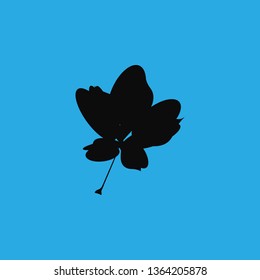 Spring autumn leaves icon vector