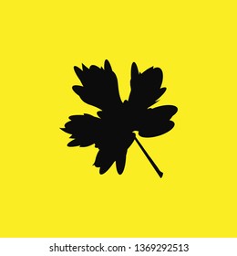 Spring autumn leaves icon vector
