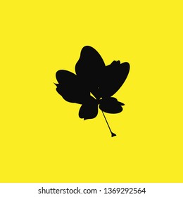 Spring autumn leaves icon vector