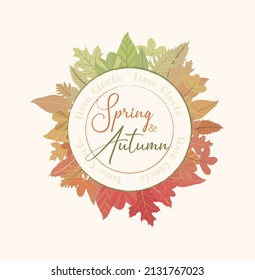 Frühling und Herbst - Zeitkreis - Grüne und rote Blätter