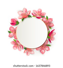 Spring backdrop with blossom sakura, cherry flowers. Place for text. Great for spring sale, oriental invite, flyer, beauty offer, wedding, bridal shower, poster, baby shower, Mother's and Women's day.