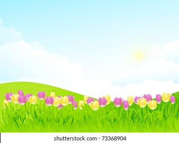 Spring background