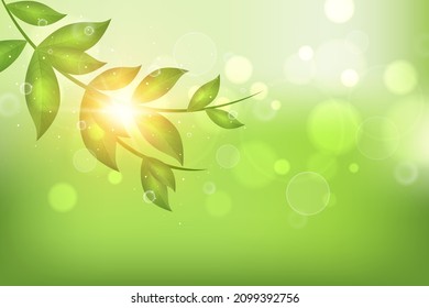 spring background. abstract green blurred gradient background with fresh green leaves, vector illustration