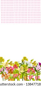 Spring background .Alstroemeria flowers. Botanical texture. Floral background. Flower card. Invitation frame. Colorful summer texture. Spring illustration. Summer flower vector illustration
