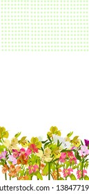Spring background .Alstroemeria flowers. Botanical texture. Floral background. Flower card. Invitation frame. Colorful summer texture. Spring illustration. Summer flower vector illustration