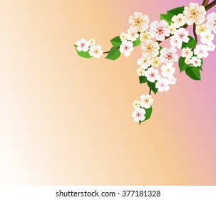 Spring background with apple blossom branch, vector image for design.