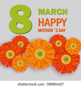 Spring  background banner with beautiful colorful flowers. 