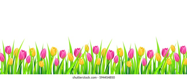 Spring background banner with colorful tulips. Vector illustration.