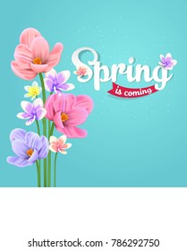 Spring background with beautiful flower and color