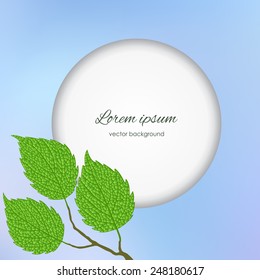 Spring background with birch branches on a  blurred  blue background. Spring holiday card with place for text. Stylish fashion background