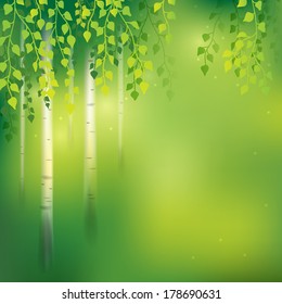 Spring background with birch grove.