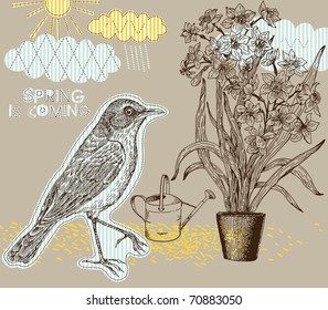 Spring background with bird and narcissus