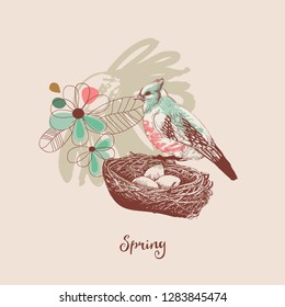 Spring background, a bird nest and flowers