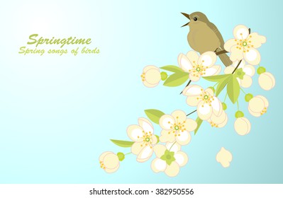 spring background with a bird on a flowering branch